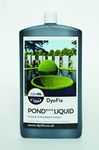 Pond Liquid Black Dye | Treats 1000 Litres | Black Mirror Finish