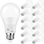 12-Pack A19 LED Light Bulbs, 100W E