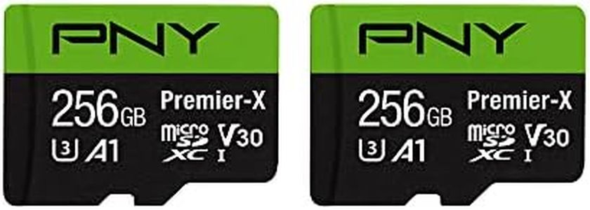 PNY 256GB 