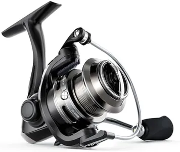 Ashconfish KF Spinning Fishing Reel,New Glass Fiber Frame,7+1BB,5.2:1 Gear Ratio,2 Line Cup Style,for Freshwater and Saltwater Spinning Fishing Reels (Shallow Spool Line Cup(KFb), 5000)