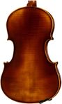 D Z Strad Viola Model 120 with Strings, Case, Bow, Shoulder Rest and Rosin (13" - Size)