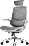 SIHOO M59AS Ergonomic Office Chair, Desk Chair with 3D Coordinated Flip-up Armrests, Computer Chair with Dual Back Design and Adaptive Dynamic Lumbar Support(Grey)
