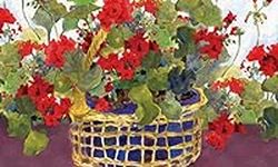 Toland Home Garden Geranium Basket 