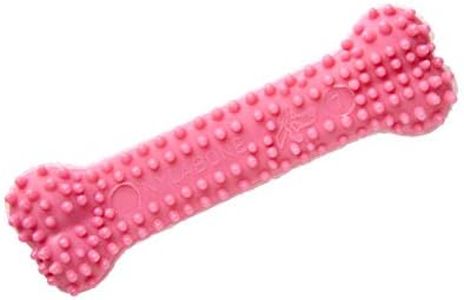 Nylabone Gentle Puppy Teething Dental Chew Toy Bone with Nubs & Ridges, Chicken Flavour, Pink, XS, for Puppies Up to 7 kg