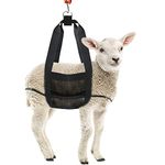 GINDOOR Calf Sling for Weighing Animals - Calf Scale Hanging Weight Scale Sling with Adjustable Straps for Weighing Calves Lambs Goats Baby Alpacas Newborn Livestock Dogs