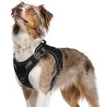 rabbitgoo Dog Harness Medium, Adjustable No Pull Harness for Dogs, Tactical Dog Harness with Molle Panel, Reflective Soft Padded Pet Vest with Easy Control Handle for Walking Training, M, Black