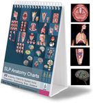 Blue Tree Publishing SLP Anatomy Fl