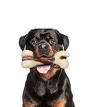 Tikaton Dog Chew Toys for Aggressiv
