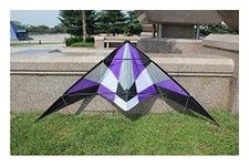 Stunt Kite,70 inch Dual Line Colorful Kites,Delta Kite for Adults Outdoor Fun Sports,with Handle and Line,Suitable for Kids Adults and Beginners Kites (Color : Purple)