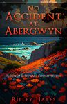 No Accident at Abergwyn : Tudor and Stewart Cosy Mystery 1 (Tudor and Stewart Abergwyn Mysteries)