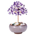 CrystalTears Amethyst Crystal Tree Copper Wire Wrapped Gemstone Tree Life Feng Shui Money Tree Purple Handmade Stone Tree for Home Office Decor Crystal Gifts for Christmas Birthday Good Luck