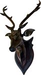 BK . ART & CRAFTS Handicraft Wooden Deer Head with handicrafts Home Decor Showpiece for Living Room Bedroom and Table Decor, Clear Black (60 cm) Pack of 1