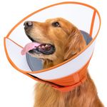 ROMANTIC BEAR Dog Cone Collar Large,Soft Dog Cone With Adjustable Buckle,Recovery Collars for Dogs,Anti- Bite Elizabethan Collars,Comfy Cone Neck Collar After Surgery Or Wounds (Orange, M)