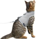 Cat Harness and Leash for Walking E