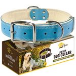 ADITYNA Heavy Duty Leather Dog Collar for Small, Medium, Large, and Extra-Large Dogs - Padded Dog Collar with Genuine Leather - Collier Pour Chien (Large: Fit 17-23" Neck, Blue)