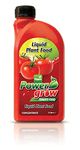 Tomato Plant Fertilizers