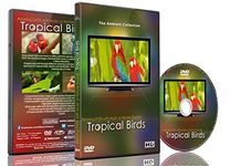 Relaxation DVD - Tropical Birds with Music or Nature Sound