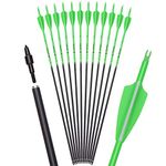 Archey World 28 30 Inch Carbon Arrow Targeting and Practice and Hunting Arrows for Youth Adults Compound Recurve Long Bow with Removable Tips