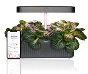 Vahaa Smart Garden - Mobile App Controlled Indoor Hydroponics growing system Herb and Vegetable Cultivation Kit Grow Your Own Produce Kitchen Garden with Starter Kit (Black)