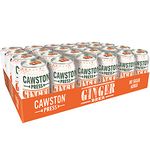 Cawston Press Fizzy Ginger Beer Fizzy Drink Blended with Sparkling Water and Pressed Apple Juice (330ml x 24 cans) Gluten Free - Vegan - No Added Sugar