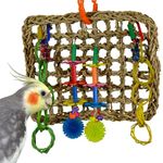 Super Bird Creations Mini Activity Wall Toy for Birds