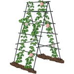 Kalolary A-Shape Garden Trellis, 6x3 Feet, Stainless Steel, Black, Climbing Plants Support for Indoor Outdoor Vegetable Fruits Vines