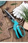 Zhang XIAO Quan Yard Grass Shear- Graden,Yard, Grass, Tree, Flower Pruning- 35cm/13.8 Garden Tool (Green) inch