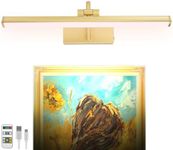 HAMVIDNE Wireless Picture Light, Picture Lights Battery Operated with Remote, Rechargeable Picture Lights for Wall, Dimmable Metal Picture Light for Painting Display Dartboard Portrait Gallery-Gold