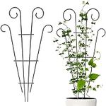 Flueyer 2 Pcs Plant Trellis for Climbing Plants outdoor, Black Coated Fan Pot Trellis Garden Metal Support Stake for Indoor Outdoor Vines Flower Vegetable