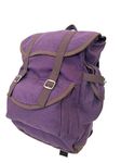 Dora the Explorer Laptop Backpacks