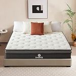 DreamQi Twin Mattress,Twin Size Mat