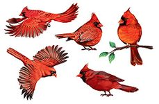 WIRESTER Decal Vinyl Wall Stickers Decoration for Home Office Living Room Wall Bathroom, Red Cardinal Birds