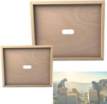 JIAHOHI Beehive Frames 2pcs Pure Wood bee Hives for Ventilation and Heat Dissipation with Holes in The Center for Feeding and observing Excellent Product for bee Box.
