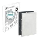 Germ Guardian FLT9200 True HEPA GENUINE Air Purifier Replacement Filter H and Carbon Combo Pack for GermGuardian Purifier AC9200