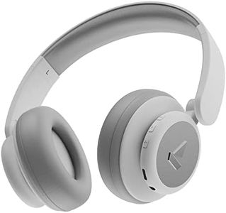 boAt Rockerz 450 Pro Bluetooth Wireless On Ear Headphones with Mic with 70 Hours Battery, 40Mm Drivers, Bluetooth V5.0 Padded Ear Cushions, Easy Access Controls and Voice Assistant (White Purity)