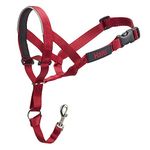 The Company of Animals - HALTI Headcollar - Adjustable and Padded - No Pull Training Tool for Dogs on Walks - Includes Free Training Guide - Size 1 - Red