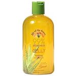 Lily of the Desert Aloe Vera Gelly 99-Percent Certified Organic 12 Ounces, 340.2 g (Pack of 1)