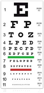 TRUSTY Eye Exam Chart – Standard Snellen Vision Test at 20 Feet – VINYL BANNER