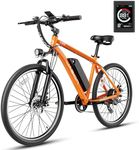 Jasion EB5 Electric Bike for Adults