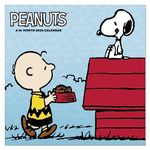 2024 Peanuts Monthly Wall Calendar, 12" x 12" (DDW0482824)