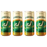 Jameson Ginger Ale Flavoured Carbonated Water (Pack of 4, 4 X 250ml)