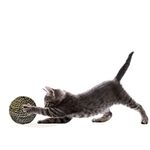 Mats Avenue Hand Made Jute Crafted Interactive Scratcher/Play Ball for Cat and Kittens Brown Color