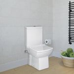 Toilet With Integrated Bidet