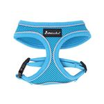 AllPetSolutions Dog Harness - Cool Pet Vest with Back D-Ring for Dog Lead Clips - Mesh Fabric Puppy Harness with Soft Padding - Training Stuff and Supplies for Small, Medium, Large Dogs - L, Blue