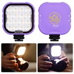 IFOOTAGE RGBW Video Light, Portable RGB Camera Light, 2700K-10000K/CRI 95+/120 mins Battery Life/Rechargeble/APP Control/Magnetic, Camera LED Light for Vlogging/Live Streaming/Photography, C4 Purple