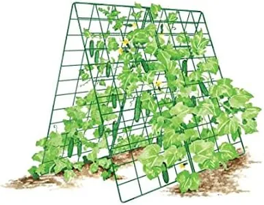 Gardeners 