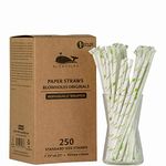 Blowholes Standard Size, Long-lasting Paper Straws (individually wrapped) 250 Count - Originals