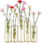 Hinged Flower Vases Test Tube Flowe