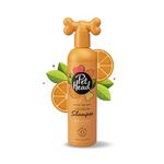 PET HEAD Dog Shampoo 300ml, Ditch the Dirt, Orange Scent, Best Dog Shampoo for Smelly Dogs, Deep Cleans Removes Odours, Deodorising Vegan Pet Shampoo, Professional Grooming, Gentle Formula for Puppies