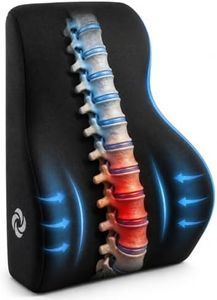 Samsonite Lumbar Support Pillow Mid and Lower Back– Office Chair Back Cushion, Gaming Chair, Desk Chair, Car Seat Lumbar, Work from Home Office Accessories, Black